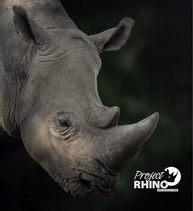 QorusDocs supports Project Rhino